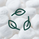 Coton biologique